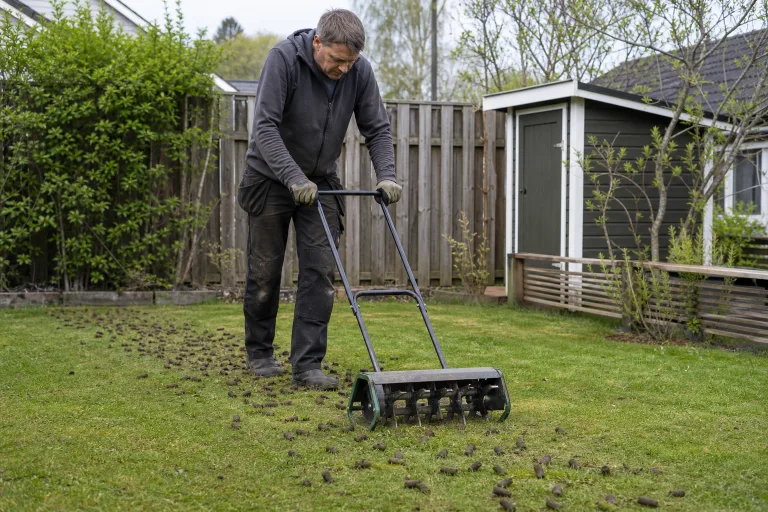 Homeowner using a manual core aerator with soil plugs visible on the lawn