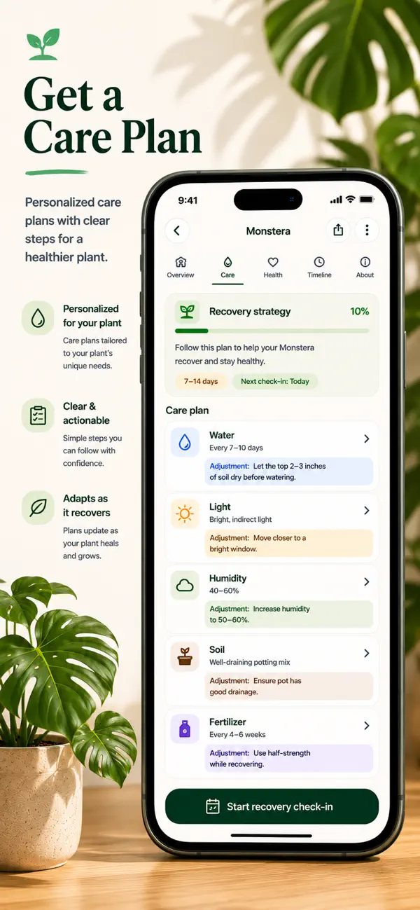 Hanami plant care guidance
