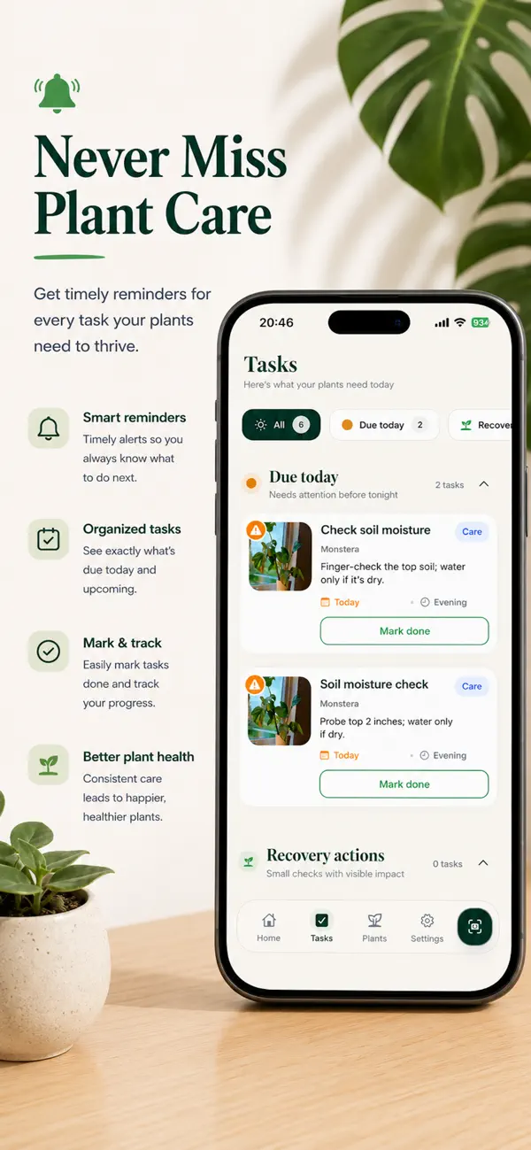 Plant watering and care tasks